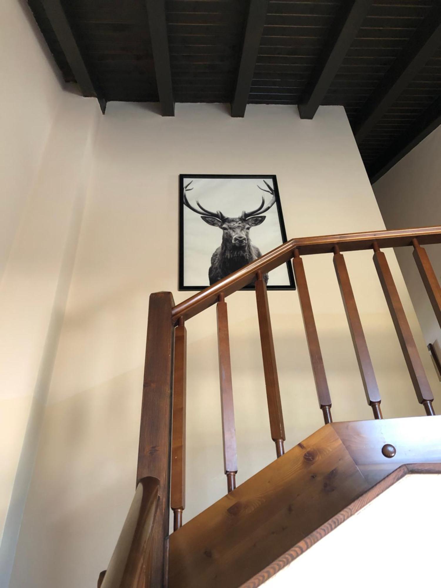 Casa Rural Mollo, Vall De Camprodon Kültér fotó